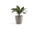 Ecopots Pflanzentopf Amsterdam 30, French Taupe