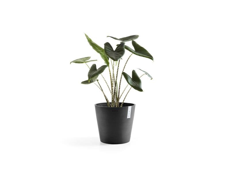 Ecopots Pflanzentopf Amsterdam 30, Dunkelgrau