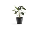 Ecopots Pflanzentopf Amsterdam 30, Dunkelgrau