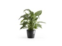 Ecopots Pflanzentopf Amsterdam 20, Dunkelgrau