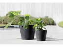 Ecopots Pflanzentopf Amsterdam 20, Dunkelgrau