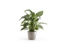 Ecopots Pflanzentopf Amsterdam 20, French Taupe