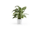 Ecopots Pflanzentopf Amsterdam 20, Weiss