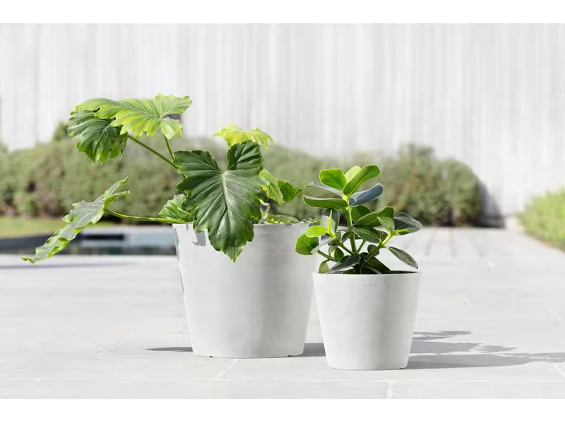 Ecopots Pflanzentopf Amsterdam 20, Weiss