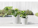 Ecopots Pflanzentopf Amsterdam 20, Weiss
