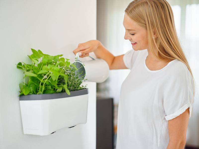 Gusta Garden Wandhalterung HARRY HERBS, Schwarz