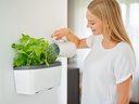 Gusta Garden Wandhalterung HARRY HERBS, Schwarz