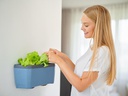 Gusta Garden Wandhalterung HARRY HERBS, Schwarz