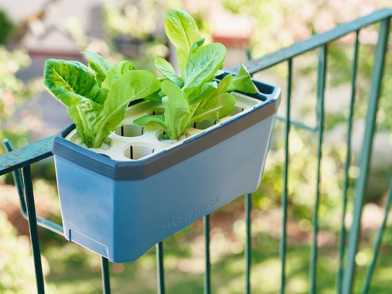 Gusta Garden Balkonhalterung HARRY HERBS, 25 mm, Schwarz