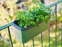 Gusta Garden Balkonhalterung HARRY HERBS, 25 mm, Schwarz