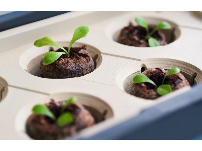 Gusta Garden Kokos-Quelltöpfe HARRY HERBS, 16 Stück