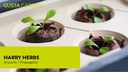 Gusta Garden Kokos-Quelltöpfe HARRY HERBS, 16 Stück
