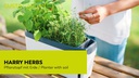 Gusta Garden Kokoserde HARRY HERBS, 400 g