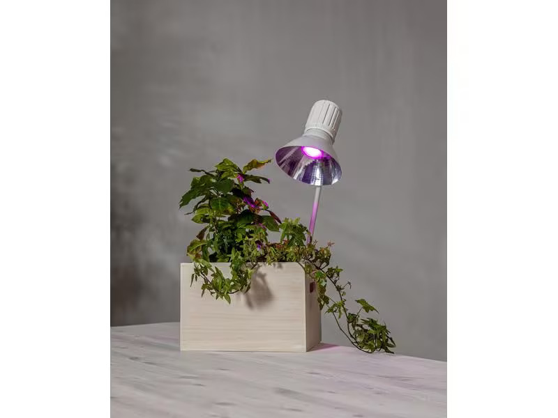 Star Trading Leuchtmittel LED Pflanzen GU10, 3.5 W, 42 lm
