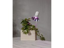 Star Trading Leuchtmittel LED Pflanzen GU10, 3.5 W, 42 lm
