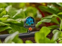 Gardena Sprühdüse 6 in 1 Micro-Drip-System