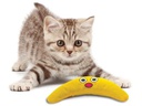Petstage Katzen-Spielzeug Green magic Boomerang Buddy