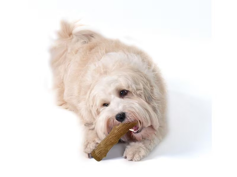 Petstage Hunde-Spielzeug Dogwood Durable Stick, L