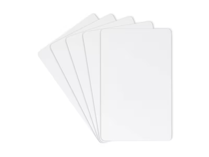 Interha RFID Karte EM4200, 125 kHz 10 Stück