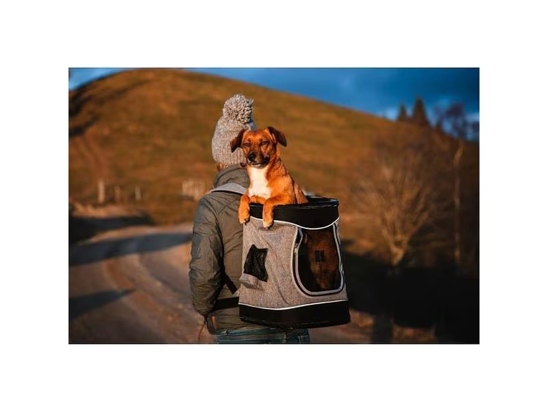 Deek Tiertransport-Rucksack Leon, 34 x 44 x 30 cm, Grau