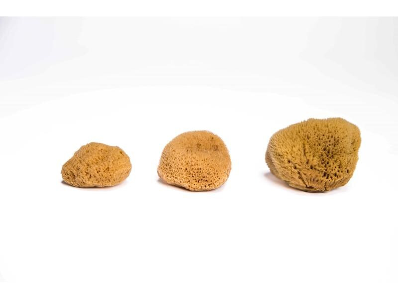 Hera Organics Menstruationsschwamm Grösse L