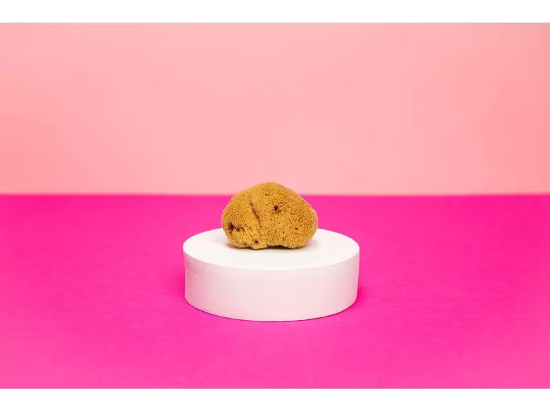 Hera Organics Menstruationsschwamm Grösse M