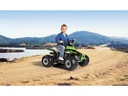 PegPerego Quad Corral T-Rex 330W 12 V Grün