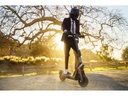 Segway-Ninebot E-Scooter Segway Ninebot GT2P