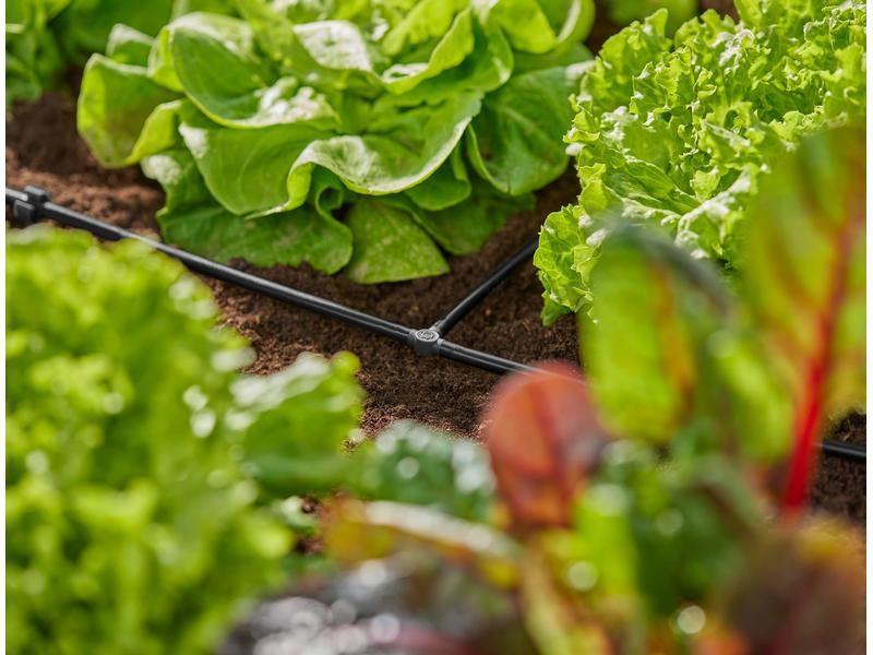 Gardena T-Stück Micro-Drip-System 3/16, 10 Stück