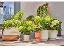 Gardena Start-Set Tropfbewässerung für Terrassen Micro-Drip-System