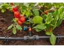 Gardena Reduzier-T-Stück Micro-Drip-System 1/2 – 3/16