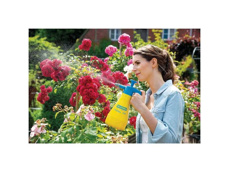 Gloria Drucksprüher Hobby 100, 1 L