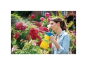 Gloria Drucksprüher Hobby 100, 1 L