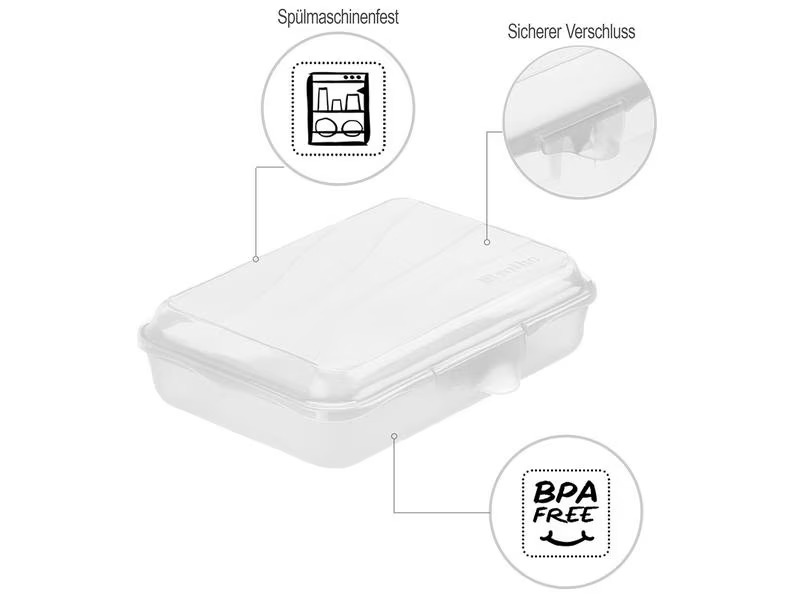 Rotho Lunchbox Fun 450 ml, Transparent