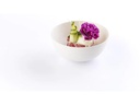 Sier Schüssel Bagastro 9 cm, 40 Stück, Weiss