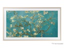 Samsung Wechselrahmen VG-SCFC50SGM 50 Sand Gold (2023)