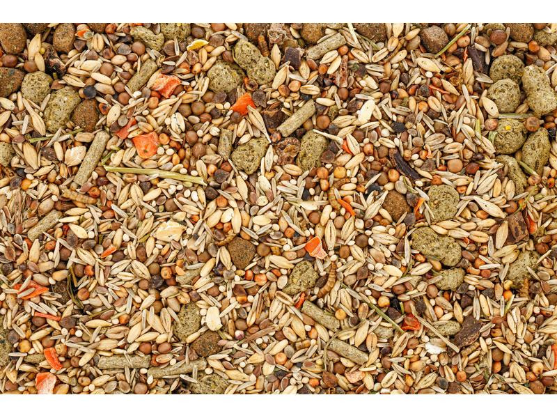 Eric Schweizer Hauptfutter für Hamster, 900 g