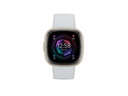 Fitbit Sense 2 Smartwatch Hellblau/Gold