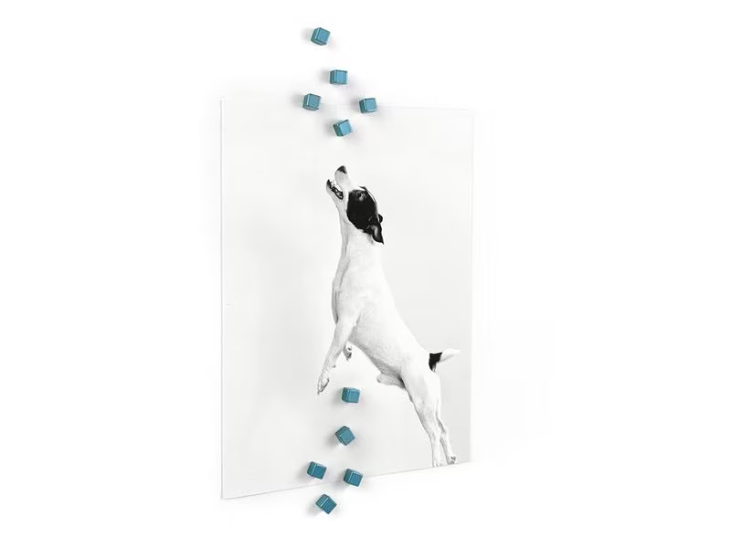 Trendform Haftmagnet Kubiq 10er Set , Blau