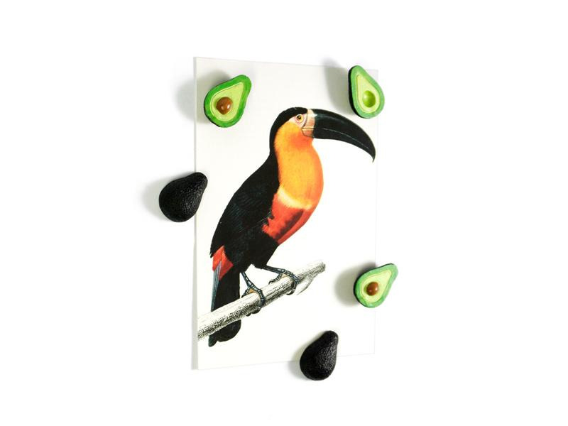 Trendform Haftmagnet Avocado 5er Set, Grün