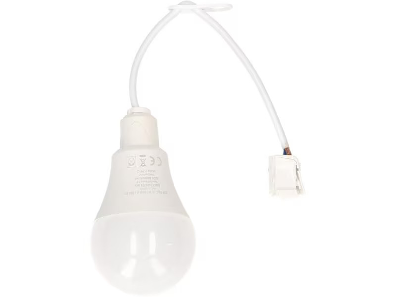 Max Hauri Baustellenlampe LED 4000K, 10 Stück