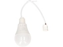 Max Hauri Baustellenlampe LED 4000K, 10 Stück