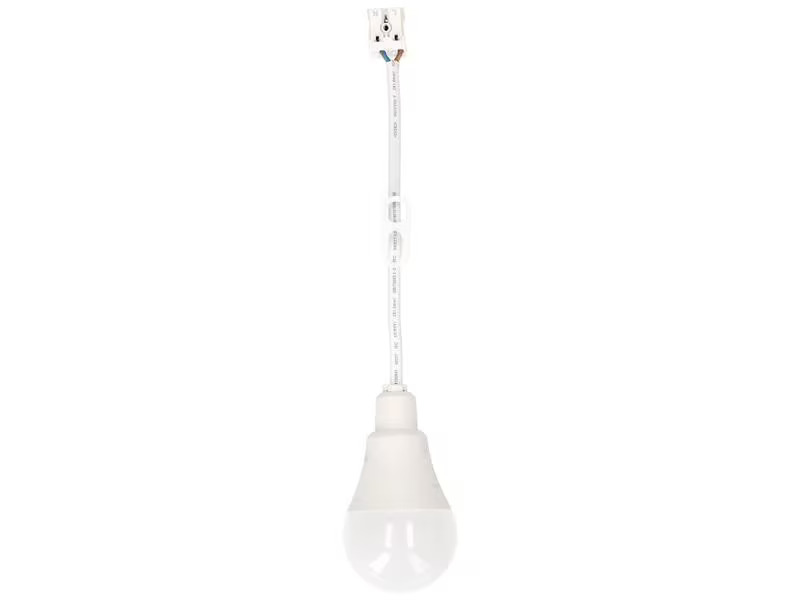 Max Hauri Baustellenlampe LED 4000K, 10 Stück