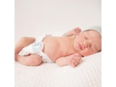 Pingo Windeln New Born 12er Pack Grösse 1