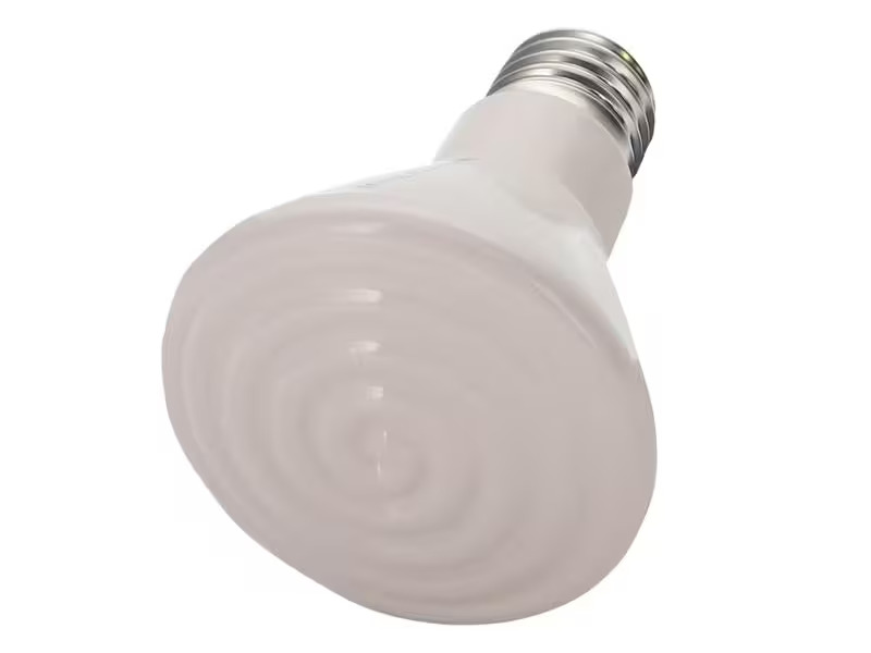 Hobby Terraristik Terrarienlampe Elstein Strahler, E27, IOT 75 / 60 W