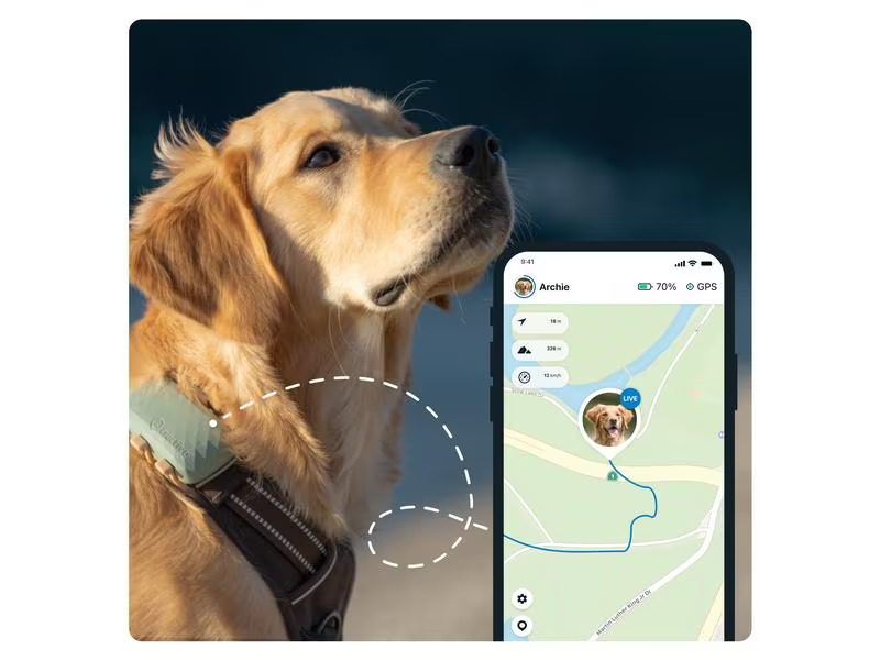 tractive GPS-Tracker DOG XL, Grün