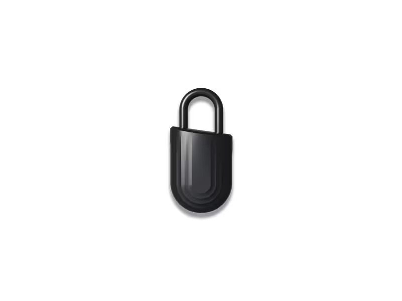 igloohome Padlock Lite, Fingerprint, Schwarz