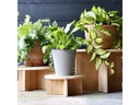Esschert Design Pflanzenständer M Ø 25 cm, Nature