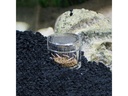 Hobby Aquaristik Zubehör Planaria X
