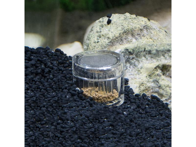 Hobby Aquaristik Zubehör Planaria X